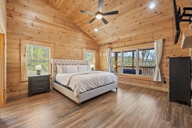 Lower Level Primary Guest Bedroom